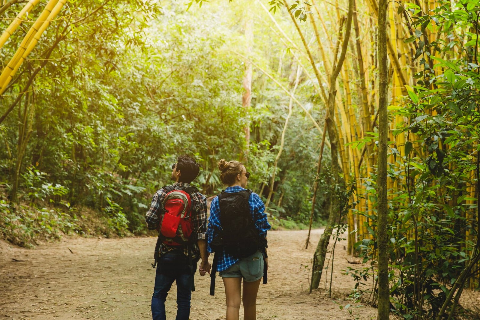 couple-bamboo-forest-backview_23-2147637665