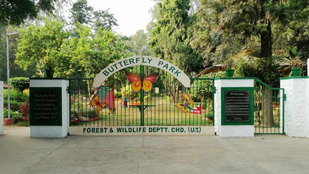 Butterfly Park
